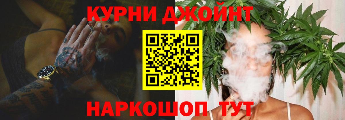 Конопля конопля  Вход с VPN  Каннабис VHQ  Курчалой  Конопля планчик  Шишки марихуана SATIVA & INDICA 